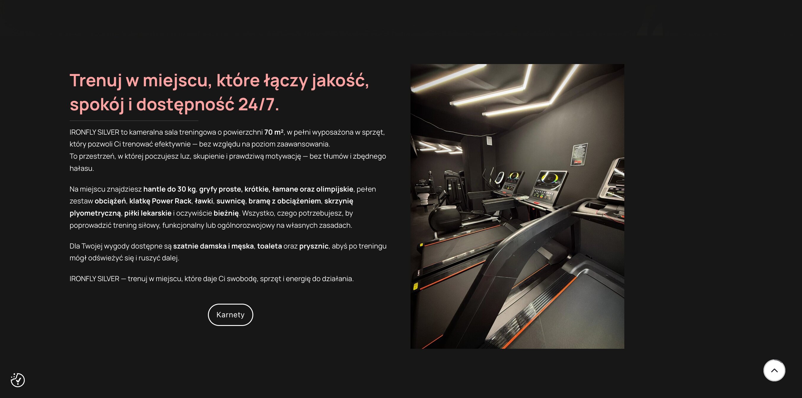 Studio Lubliniec IronFly